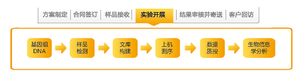 人基因組重測序技術路線.jpg
