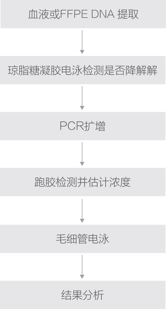 MSI微衛星技術路線.jpg