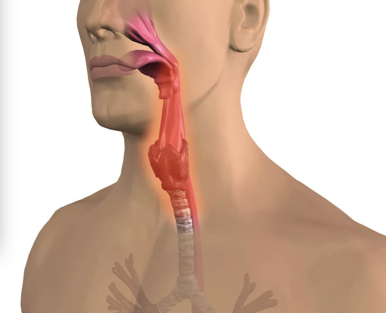 WX20200214-140200@2x.png WX20200214-140200@2x.png